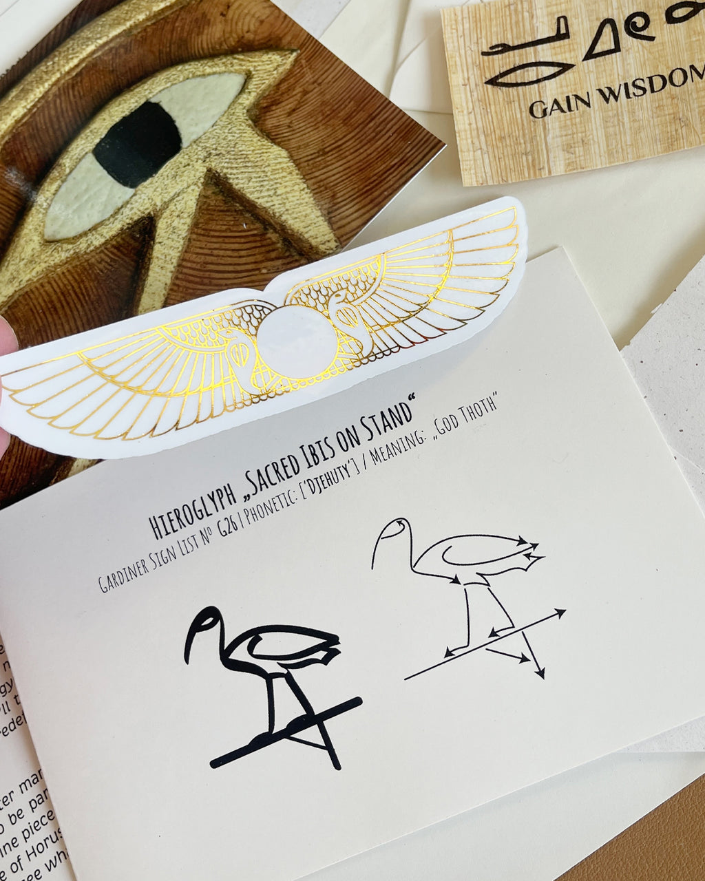 Sacred Enveleap November 2025 Edition