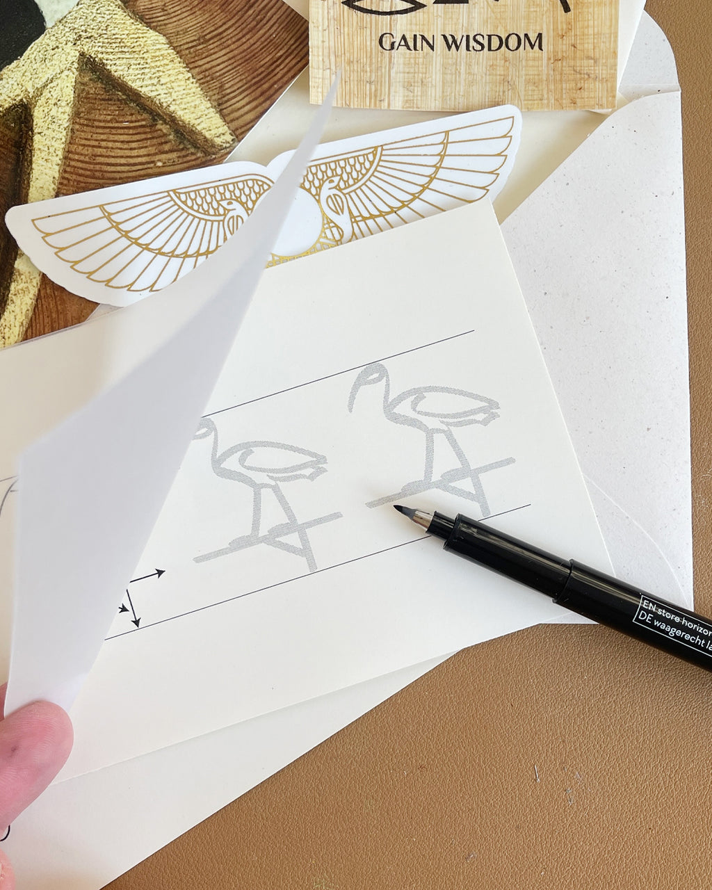 Sacred Enveleap November 2025 Edition